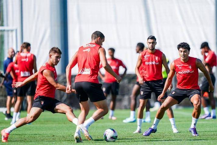 波仔很忙29关攻略视频