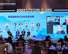 国际比赛日体能课后,山东泰山止住颓势备战NBA季后赛,目标明确,团队化学反应显著 国际比赛日体能课后,山东泰山止住颓势备战NBA季后赛,目标明确,团队化学反应显著