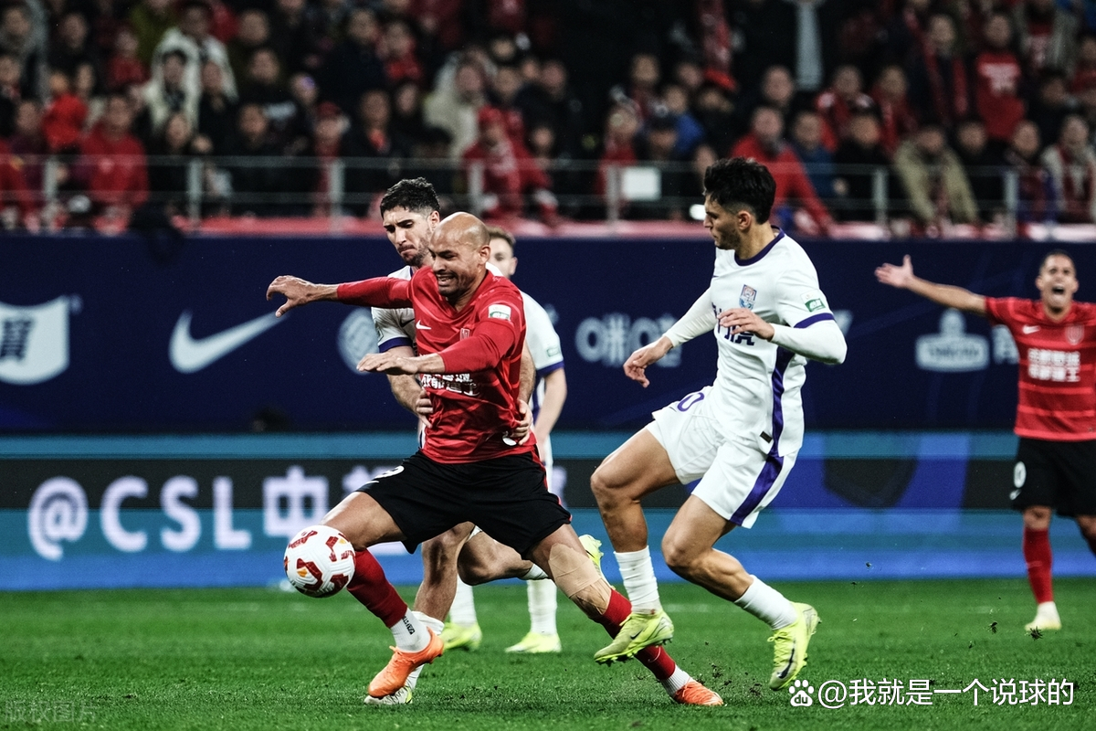 鹤翔庄气功15节完整版