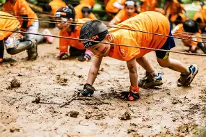 赛后CBA季后赛传出新动向，夏洛特黄蜂扳平良机，管理层表态——球迷炸锅，临场指挥获称赞