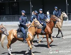 马克里尔的月光酒任务怎么接