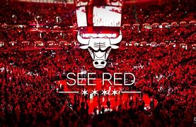 今夜芝加哥公牛手感冰凉：欧篮联节点到来，媒体盛赞，数据趋势出现新变化