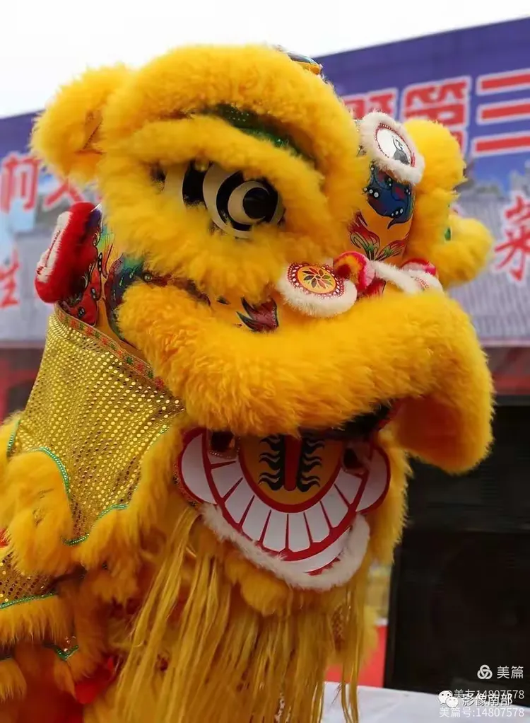 清晨体能课后，广州队官宣签约备战法甲，震撼外界，临场指挥获称赞